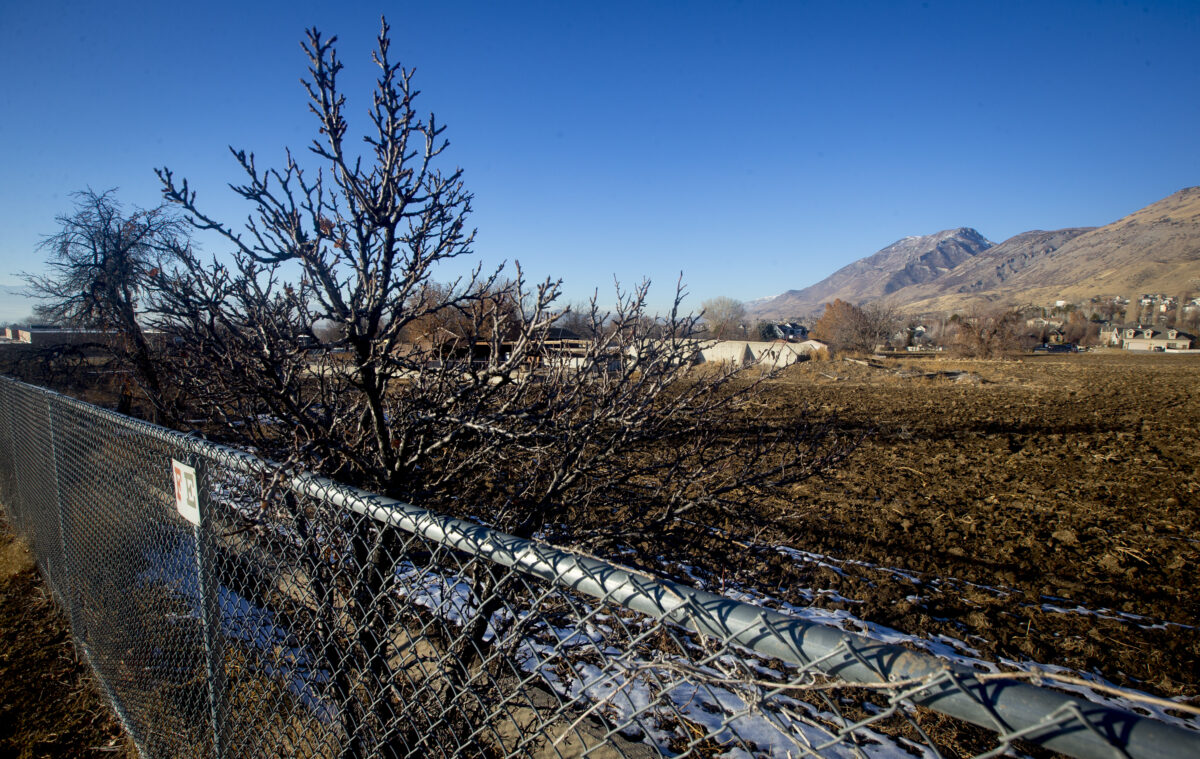 LDS Church announces Lindon Temple location News, Sports, Jobs